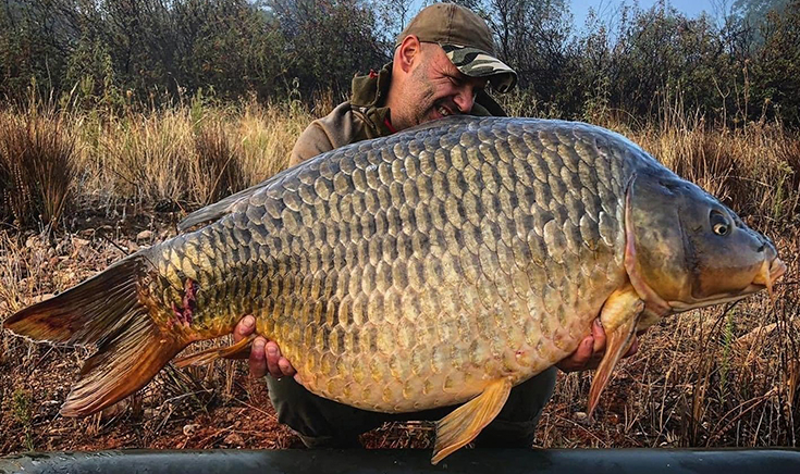 Spain – Big Carp Territory